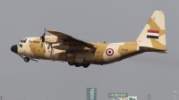 Photo ID 80858 by Carl Brent. Egypt Air Force Lockheed C 130H Hercules L 382, 1285