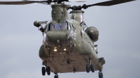 Photo ID 84513 by Niels Roman / VORTEX-images. UK Air Force Boeing Vertol Chinook HC2A CH 47D, ZH895