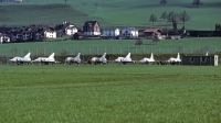 Photo ID 84023 by Carl Brent. Switzerland Air Force Dassault Mirage IIIDS, J 2004