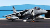 Photo ID 92298 by Carl Brent. Italy Navy McDonnell Douglas AV 8B Harrier ll, MM7224