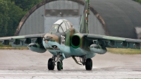 Photo ID 100030 by Jan Suchanek. Bulgaria Air Force Sukhoi Su 25UBK, 095