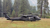 Photo ID 106823 by Aaron C. Rhodes. USA Army Sikorsky UH 60A Black Hawk S 70A, 79 23354