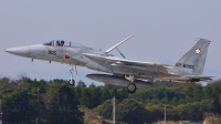 Photo ID 111485 by Peter Terlouw. Japan Air Force McDonnell Douglas F 15J Eagle, 82 8905