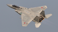 Photo ID 111587 by Peter Terlouw. Japan Air Force McDonnell Douglas F 15J Eagle, 82 8905