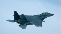 Photo ID 112064 by Peter Boschert. USA Air Force McDonnell Douglas F 15E Strike Eagle, 96 0204