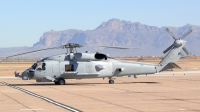 Photo ID 114754 by Peter Boschert. USA Navy Sikorsky MH 60R Strikehawk S 70B, 167052