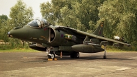 Photo ID 145034 by Peter Terlouw. UK Air Force British Aerospace Harrier GR 7, ZG858