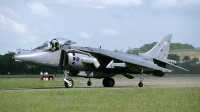 Photo ID 156953 by Joop de Groot. UK Air Force British Aerospace Harrier GR 7, ZD461