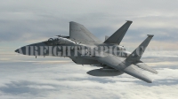 Photo ID 21 by Paul Tiller. USA Air Force McDonnell Douglas F 15C Eagle, 84 0009
