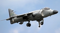 Photo ID 163454 by Johannes Berger. Private Nalls Aviation Inc British Aerospace Sea Harrier FA 2, N94422