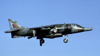 Photo ID 163516 by Joop de Groot. UK Air Force Hawker Siddeley Harrier GR 3, XV738