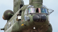 Photo ID 164246 by Jimmy van Drunen. Netherlands Air Force Boeing Vertol CH 47D Chinook, D 667