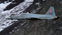 Photo ID 168682 by Agata Maria Weksej. Switzerland Air Force Northrop F 5E Tiger II, J 3005