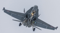 Photo ID 169320 by Martin Thoeni - Powerplanes. Switzerland Air Force McDonnell Douglas F A 18C Hornet, J 5003