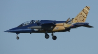 Photo ID 171093 by Armando Tuñon. Portugal Air Force Dassault Dornier Alpha Jet A, 15211