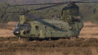 Photo ID 201919 by de Vries. Netherlands Air Force Boeing Vertol CH 47D Chinook, D 103