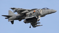 Photo ID 202256 by Fernando Sousa. Spain Navy McDonnell Douglas EAV 8B Harrier II, VA 1B 36