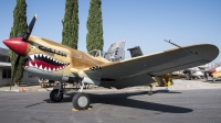 Photo ID 203813 by W.A.Kazior. Private Planes of Fame Air Museum Curtiss P 40N Warhawk, N85104