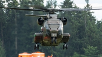 Photo ID 207136 by Thomas Ziegler - Aviation-Media. Germany Air Force Sikorsky CH 53GA S 65, 84 31