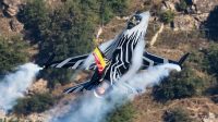 Photo ID 207645 by Thomas Ziegler - Aviation-Media. Belgium Air Force General Dynamics F 16AM Fighting Falcon, FA 123