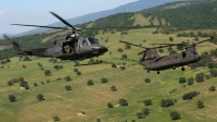 Photo ID 2702 by Braccini Riccardo - Aviopress. Italy Army Agusta Bell AB 412 Grifone, MM81194