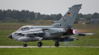 Photo ID 215829 by Sven Neumann. Germany Air Force Panavia Tornado ECR, 46 55