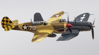 Photo ID 217178 by W.A.Kazior. Private Planes of Fame Air Museum Curtiss P 40N Warhawk, N85104