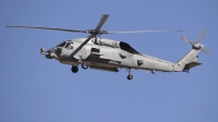 Photo ID 218015 by Peter Boschert. USA Navy Sikorsky MH 60R Strikehawk S 70B, 168161