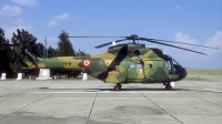 Photo ID 218445 by Marinus Dirk Tabak. Romania Air Force IAR 330L Puma, 99