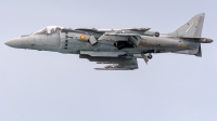 Photo ID 218892 by Adolfo Bento de Urquia. Spain Navy McDonnell Douglas EAV 8B Harrier II, VA 1B 24