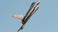 Photo ID 219257 by David Novák. Spain Air Force Eurofighter C 16 Typhoon EF 2000S, C 16 48