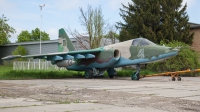 Photo ID 225827 by M. Hauswald. Ukraine Air Force Sukhoi Su 25,  
