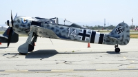 Photo ID 225996 by Peter Boschert. Private Planes of Fame Air Museum Focke Wulf Fw 190A 9, N190RF