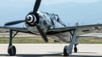 Photo ID 226148 by W.A.Kazior. Private Planes of Fame Air Museum Focke Wulf Fw 190A 9, N190RF