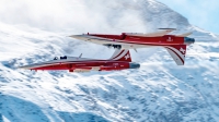 Photo ID 233923 by Martin Thoeni - Powerplanes. Switzerland Air Force Northrop F 5E Tiger II, J 3085