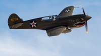 Photo ID 247442 by Niels Roman / VORTEX-images. Private Liberty Foundation Curtiss P 40E Warhawk, N2416X