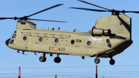 Photo ID 261006 by Alberto Gonzalez. Spain Army Boeing Vertol CH 47F Chinook, HT 17 20A