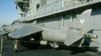 Photo ID 41637 by David F. Brown. UK Navy British Aerospace Sea Harrier FRS 1, ZA191