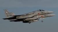Photo ID 48281 by Henk Schuitemaker. Japan Air Force McDonnell Douglas F 15J Eagle, 52 8860
