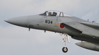 Photo ID 48697 by Peter Terlouw. Japan Air Force McDonnell Douglas F 15J Eagle, 42 8834