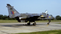 Photo ID 49922 by Rainer Mueller. UK Air Force Sepecat Jaguar GR1A, XX955