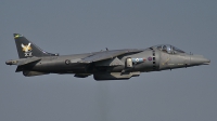 Photo ID 66705 by Martin Thoeni - Powerplanes. UK Air Force British Aerospace Harrier GR 7, ZD407