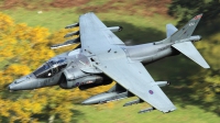 Photo ID 67186 by Glenn Beasley. UK Air Force British Aerospace Harrier GR 9A, ZD433