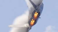 Photo ID 74579 by David Atkinson. USA Air Force Lockheed Martin F 22A Raptor, 04 4066