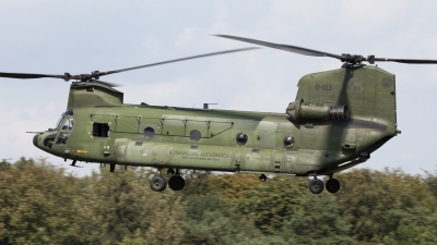 Photo ID 81121 by Niels Roman / VORTEX-images. Netherlands Air Force Boeing Vertol CH 47D Chinook, D 103
