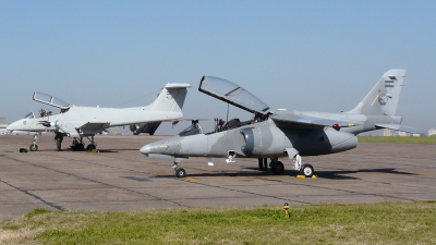 Photo ID 85229 by Martin Kubo. Argentina Air Force FMA IA 63 Pampa II, E 821