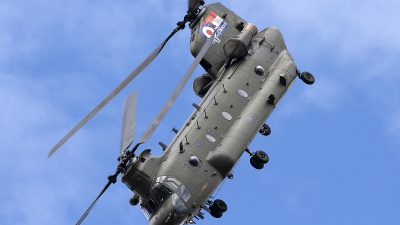 Photo ID 85816 by Niels Roman / VORTEX-images. UK Air Force Boeing Vertol Chinook HC2A CH 47D, ZH895