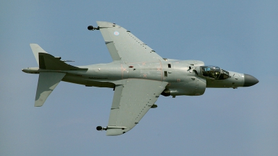 Photo ID 86870 by David F. Brown. Private Nalls Aviation Inc British Aerospace Sea Harrier FA 2, N94422