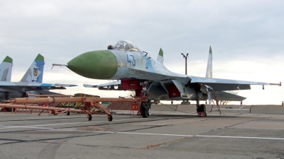 Photo ID 87813 by Medvedenko Oleg. Ukraine Air Force Sukhoi Su 27S,  