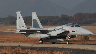 Photo ID 91055 by Florian Morasch. Japan Air Force McDonnell Douglas F 15J Eagle, 42 8829